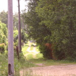 IMG_2871