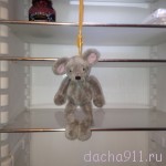 IMG_3689