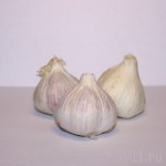 IMG_3828