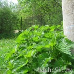 крап2