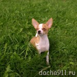 с2009 149