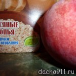 P1060513