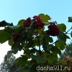 P1060564