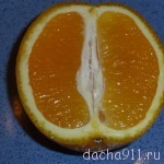 P1070332