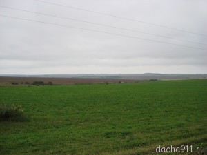 зк 010 (Копировать)