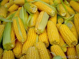 kukur